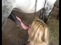 Blondie can't live without white horse